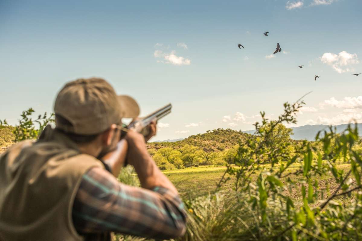 Escondido Lodge: Executive Dove Hunting by H&H Outfitters