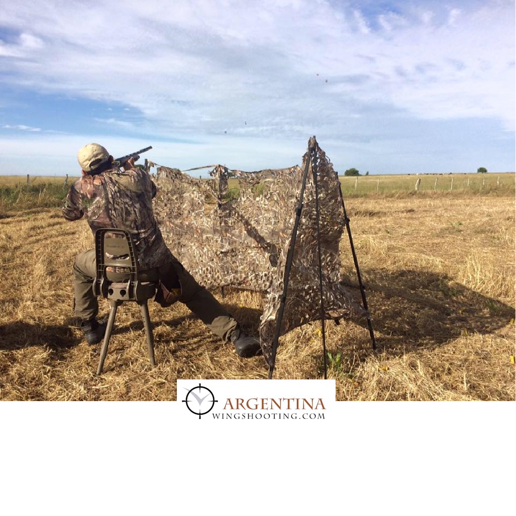 Dove hunting in argentina for groups